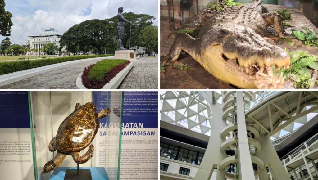 Collage of photos from the National Museum of Natural History in Manila including the interior, a crocodile and a turtle