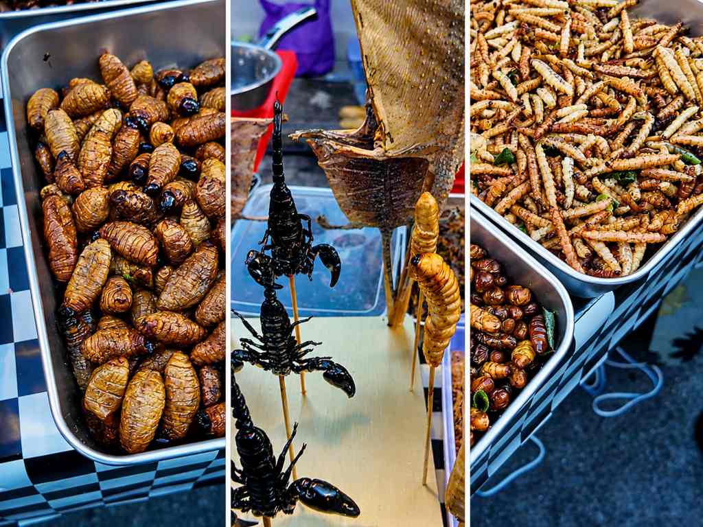 Fried insects scorpions and worms for sale at Jonker Street Night Market Malacca Malaysia